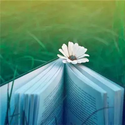 热血神戒官方版下载