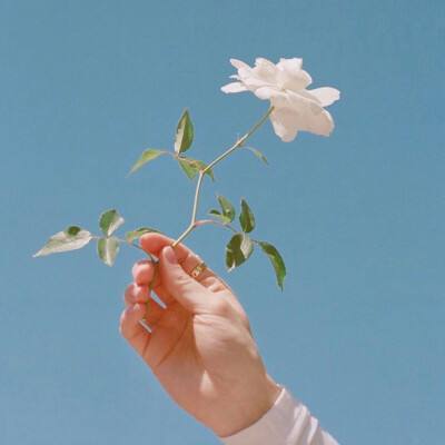 无双仙灵手游